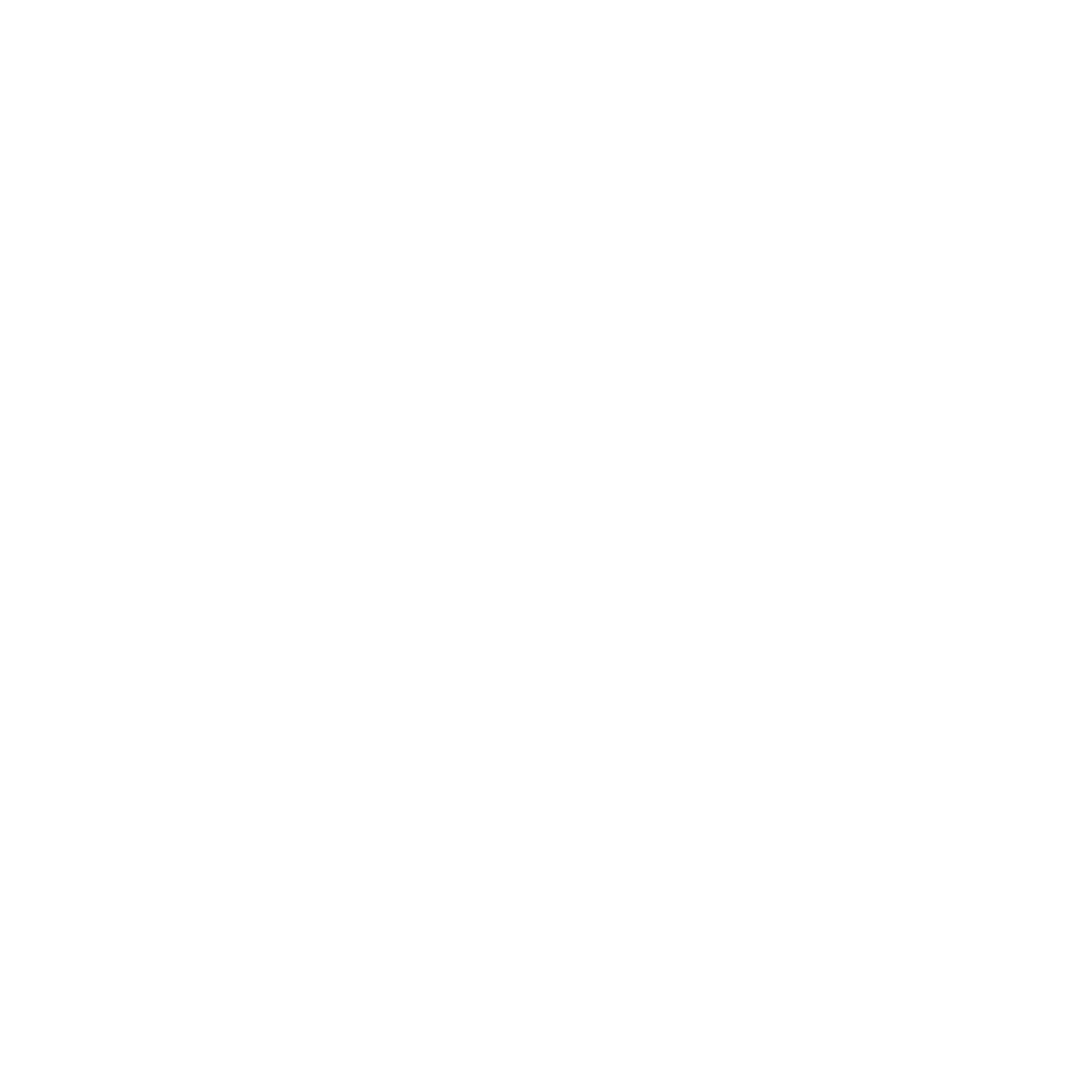 MONEY WISE RP_NEW LOGO_NO TAGLINE_WHITE